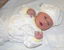 madeleine