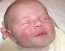madeleine