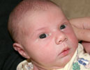 madeleine